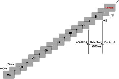 Neurodynamic correlates for the cross-frequency coupled transcranial alternating current stimulation during working memory performance